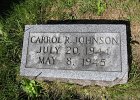 Carrol Johnson